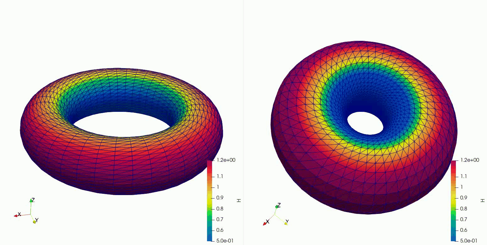 Shrinking Torus